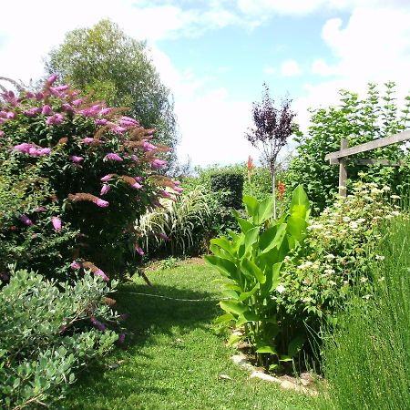 Sainte-Terre Le Bord De L'Eau Bed & Breakfast エクステリア 写真