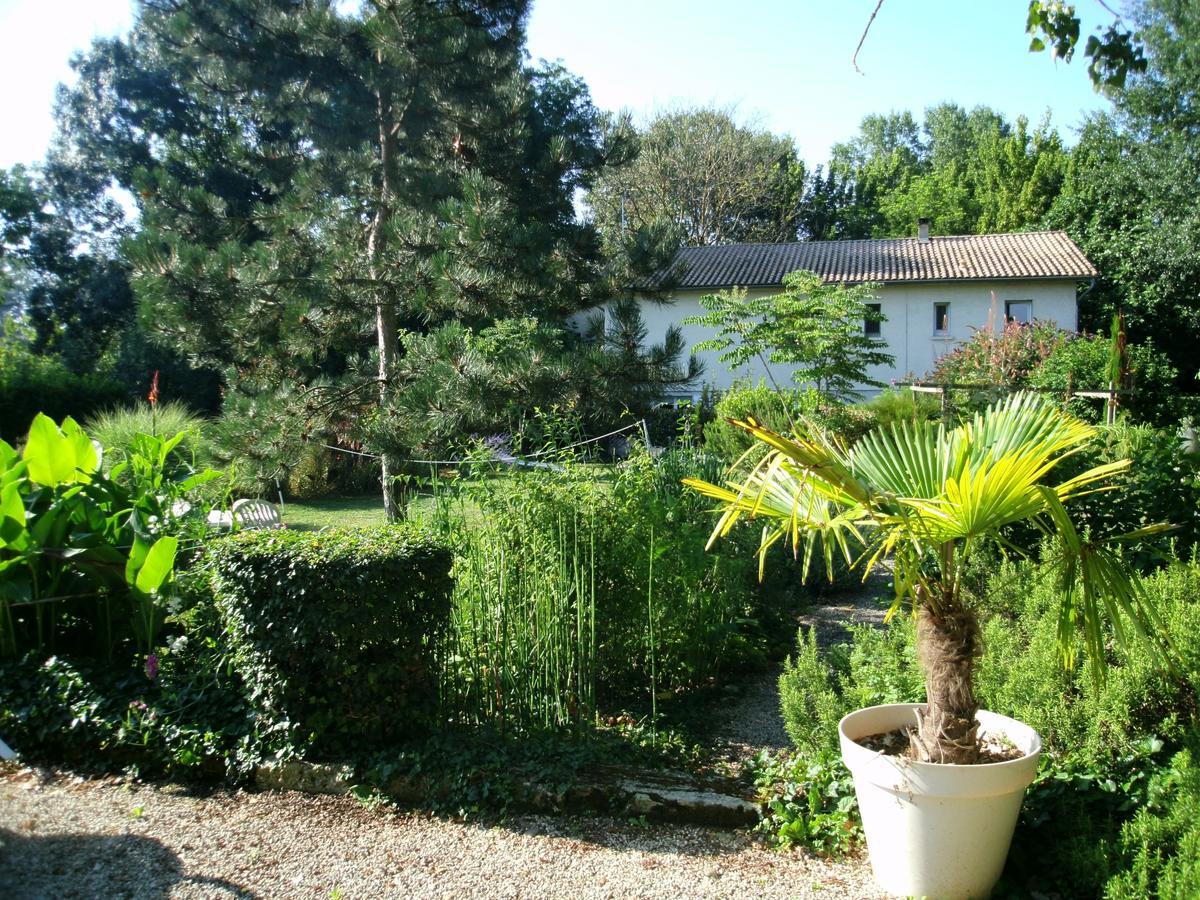 Sainte-Terre Le Bord De L'Eau Bed & Breakfast エクステリア 写真