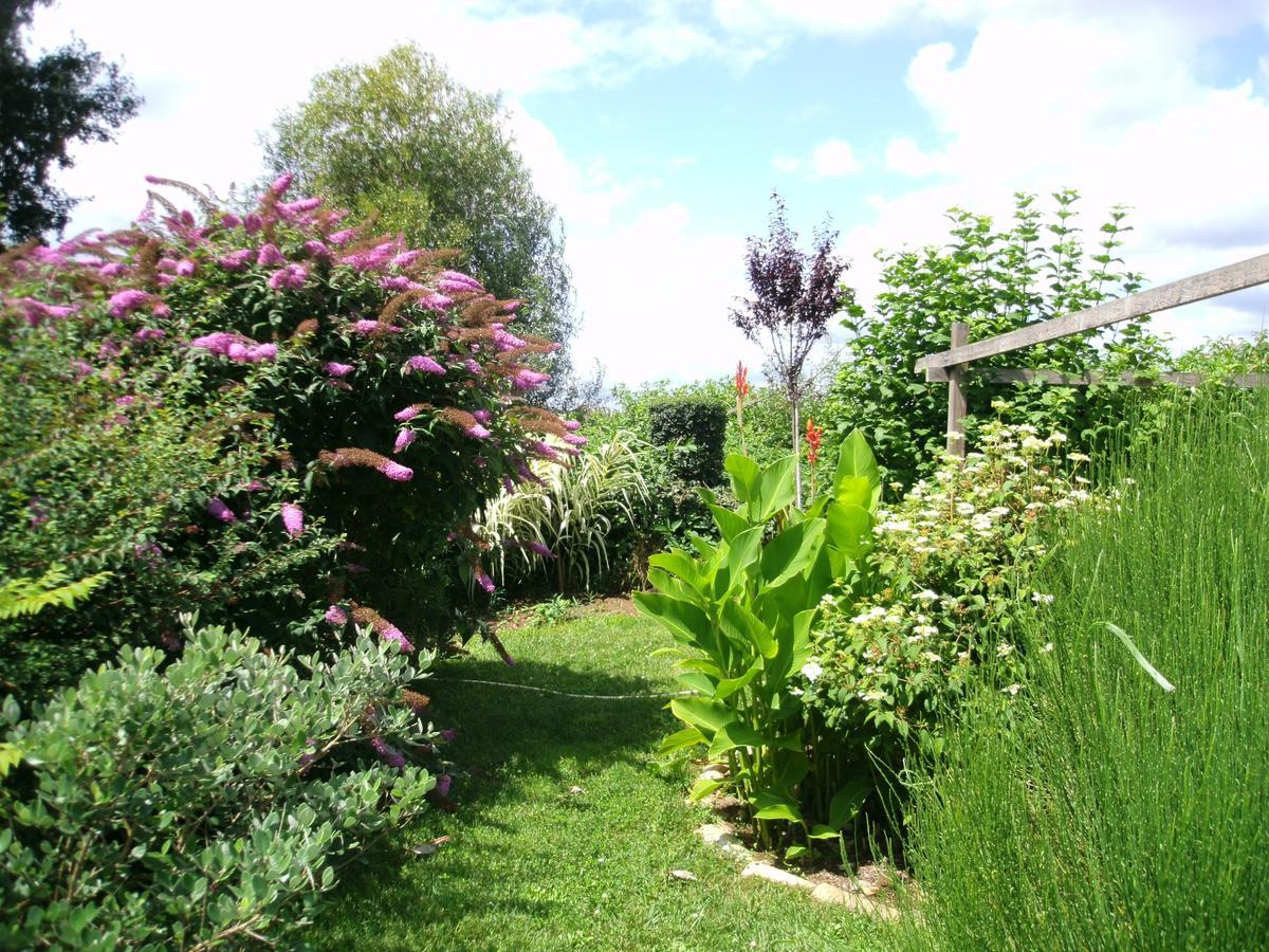 Sainte-Terre Le Bord De L'Eau Bed & Breakfast エクステリア 写真