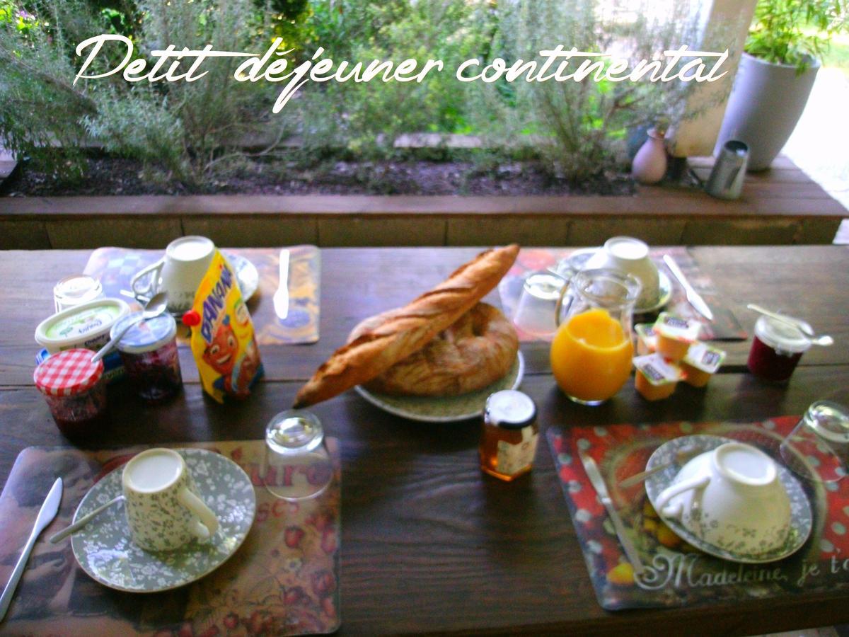 Sainte-Terre Le Bord De L'Eau Bed & Breakfast エクステリア 写真